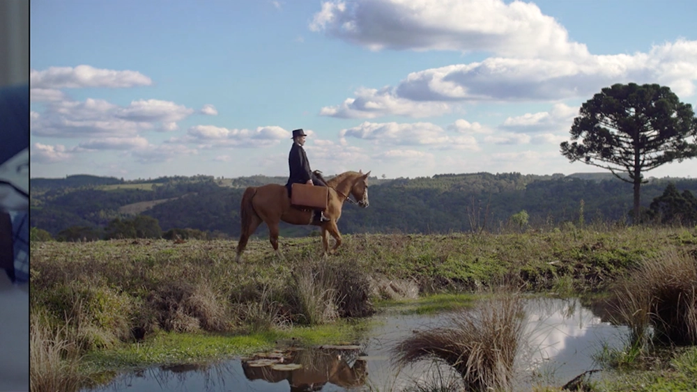 CAMPANHA RECOLTA ASA - IASD